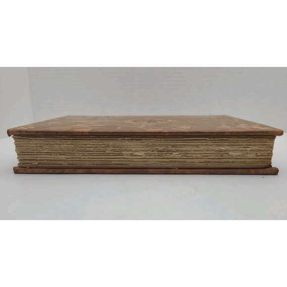 Zibeline Philippe De Massa The Immortals French Academy Medallion 1905 - Picture 5 of 9